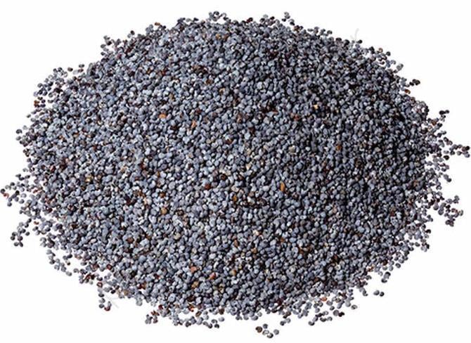 Mavi Haşhaş 250G