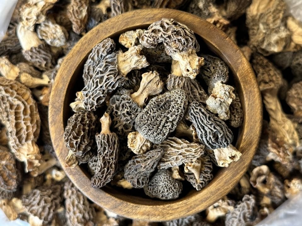 Kuzugöbeği Mantarı, Kurutulmuş 100 G