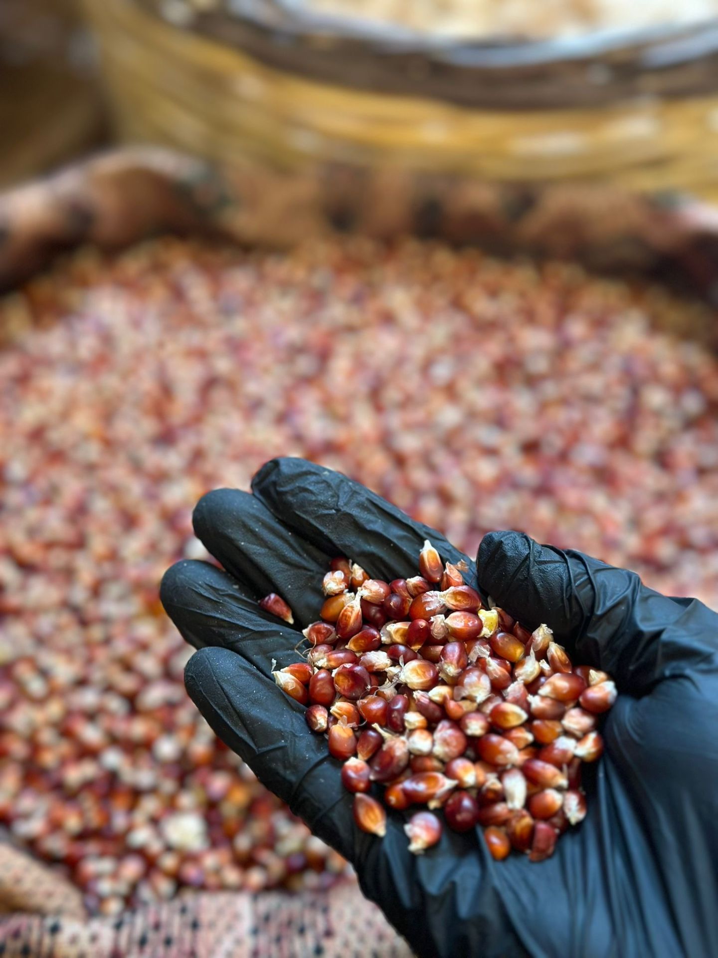 Kırmızı Mısır 1 Kg Yerli, Aromalı