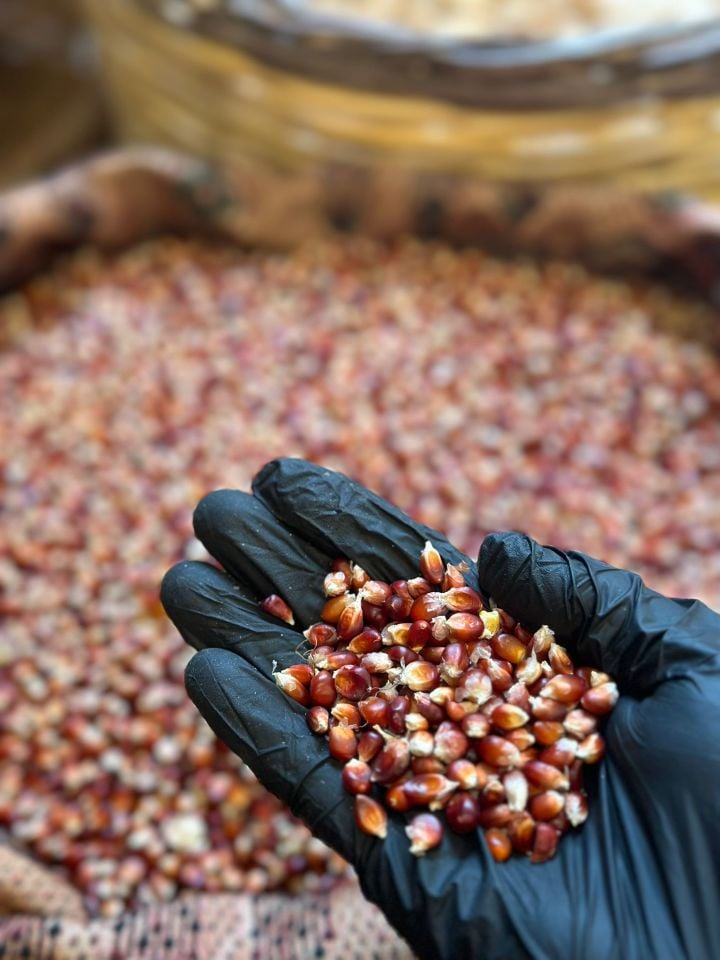 Kırmızı Mısır 1 Kg Yerli, Aromalı